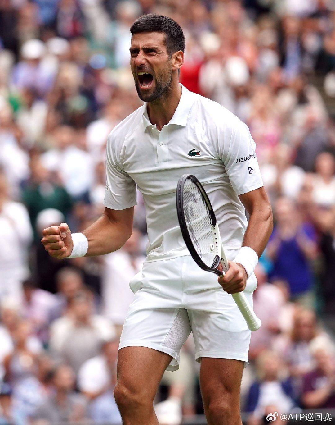 向前的强大 向前的强大